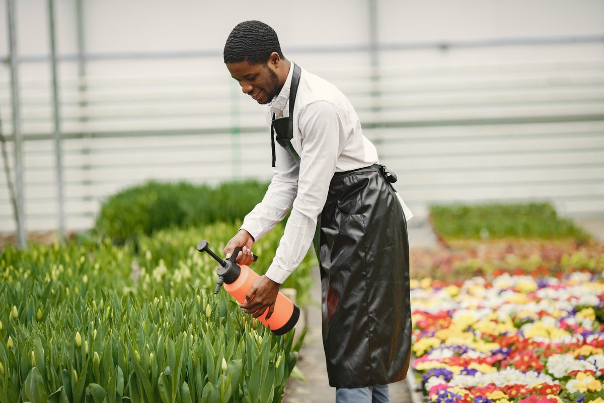 Jardiniers en Côte d’Ivoire
